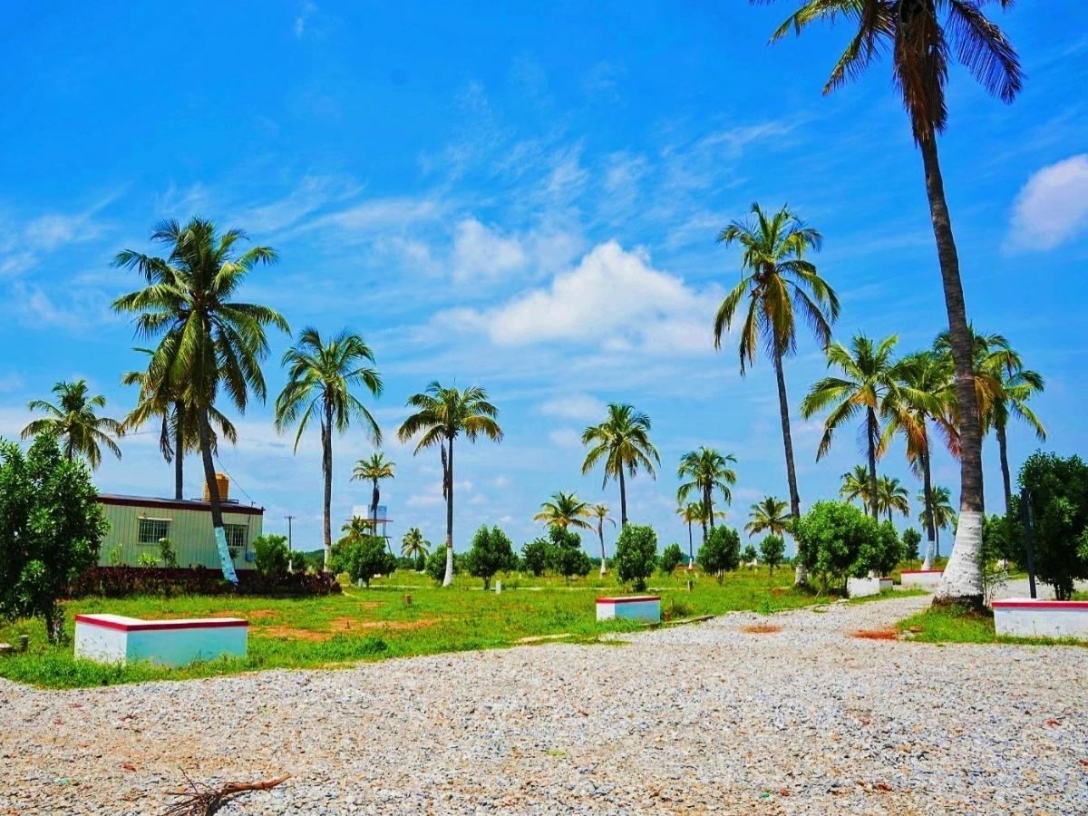AK Signature City Phase-I - Signature Living Experience
